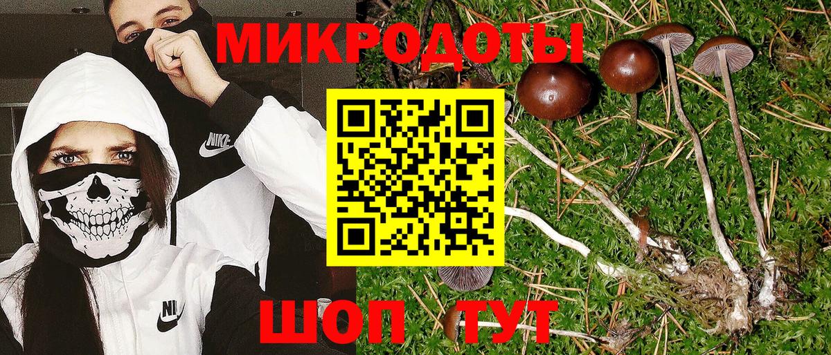 Псилоцибиновые грибы ЛСД  Вход с VPN  Кимры  Галлюциногенные грибы Psilocybine cubensis 