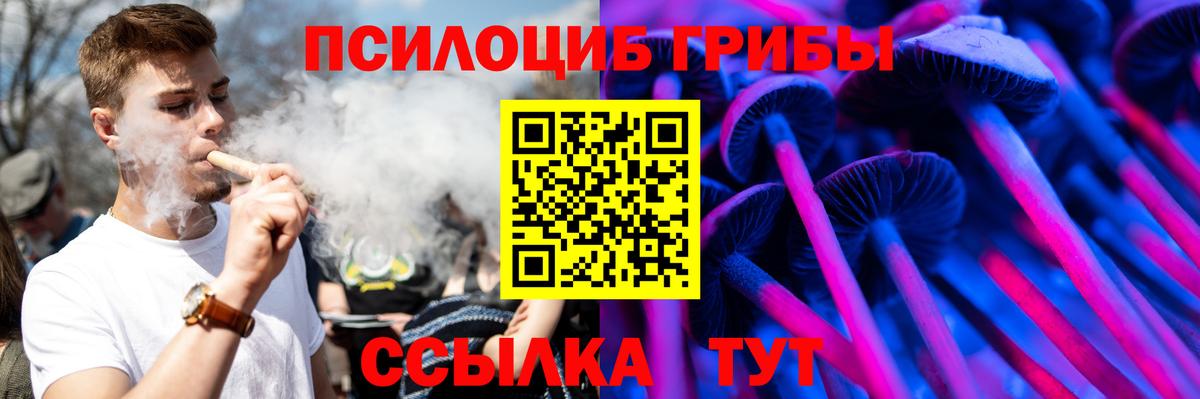 Псилоцибиновые грибы MAGIC MUSHROOMS Кимры